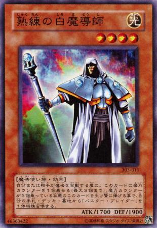 No.344 【 熟練の白魔導師 】