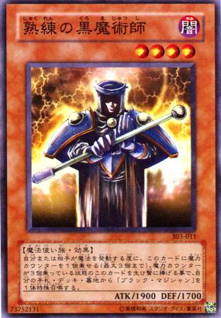 No.345 【 熟練の黒魔術師 】