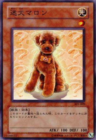 No.532 【 迷犬マロン 】