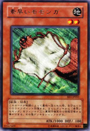 No.873 素早いモモンガ