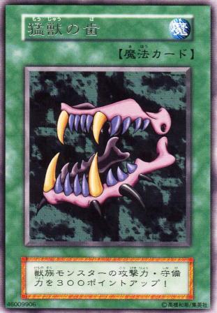 No.1065 猛獣の歯
