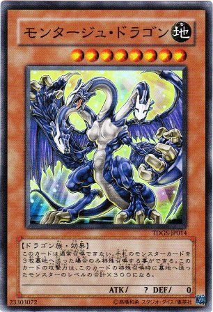 No.1446 モンタージュ・ドラゴン