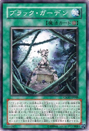 No.1511 ブラック・ガーデン