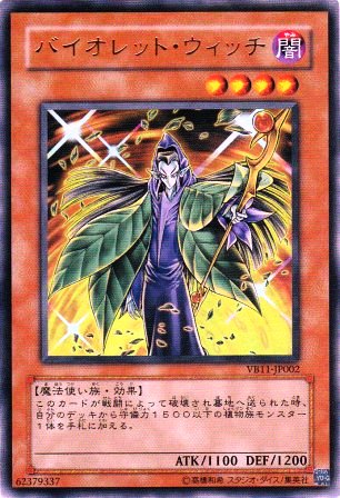 No.1552 【 バイオレット・ウィッチ 】