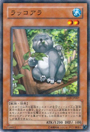 No.1656 ラッコアラ