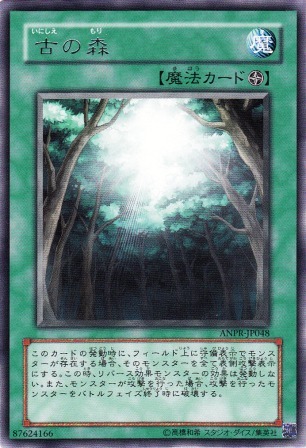 No.1731 古の森