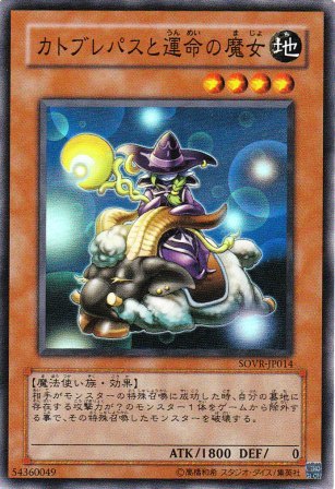 No.1761 カトブレパスと運命の魔女