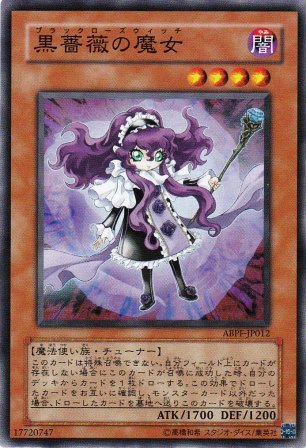 No.1920 黒薔薇の魔女