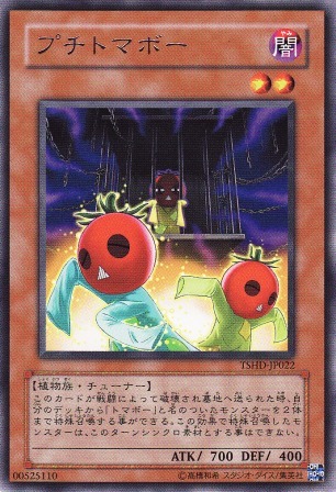 No.2024 プチトマボー