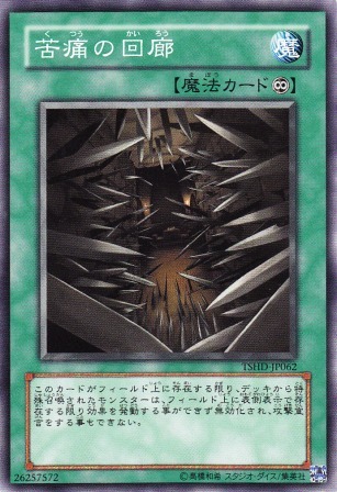No.2049 苦痛の回廊