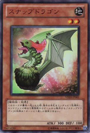 No.2294 スナップドラゴン