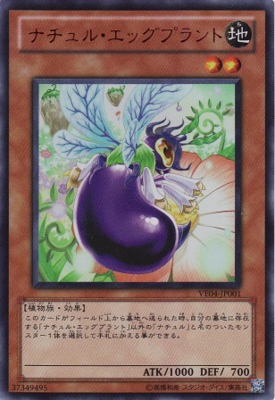 No.2299 ナチュル・エッグプラント