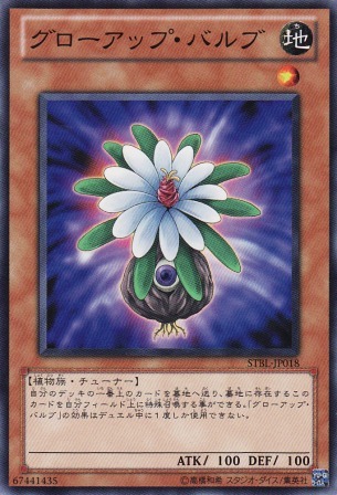 No.2353 グローアップ・バルブ