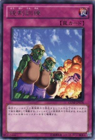 No.2436 統制訓練