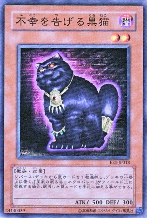 No.2455 不幸を告げる黒猫