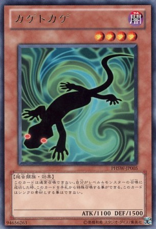 No.2525 カゲトカゲ