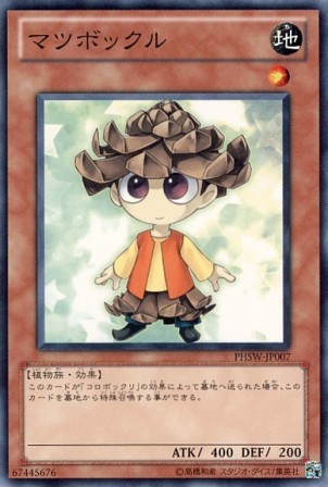 No.2561 マツボックル