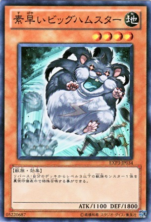 No.2564 素早いビッグハムスター