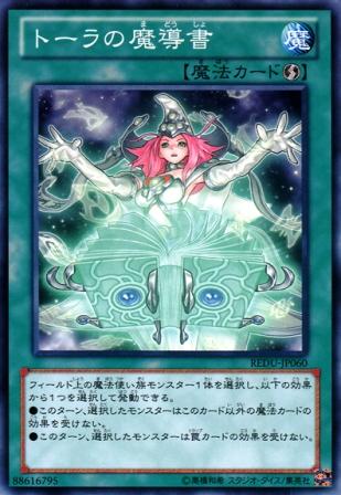 No.2822 【 トーラの魔導書 】