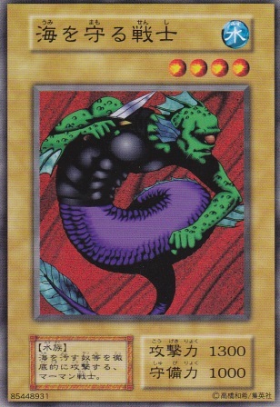 海を守る戦士