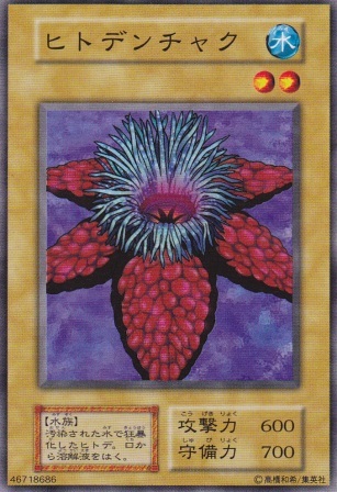 ヒトデンチャク