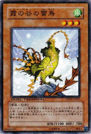 No.2013 霞の谷の雷鳥