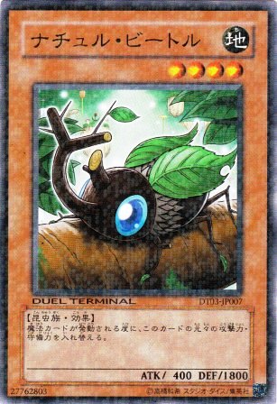 No.2107 ナチュル・ビートル