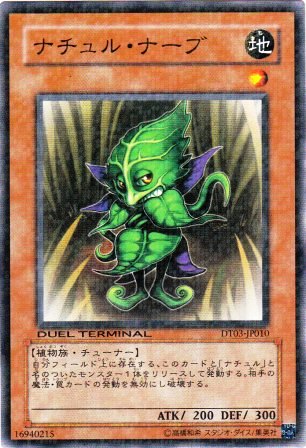No.2110 ナチュル・ナーブ