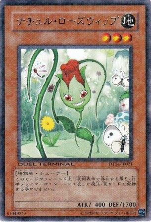 No.2171 ナチュル・ローズウィップ