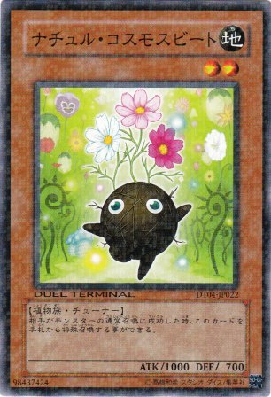 No.2172 ナチュル・コスモスビート