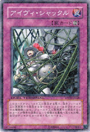 No.2198 アイヴィ・シャックル