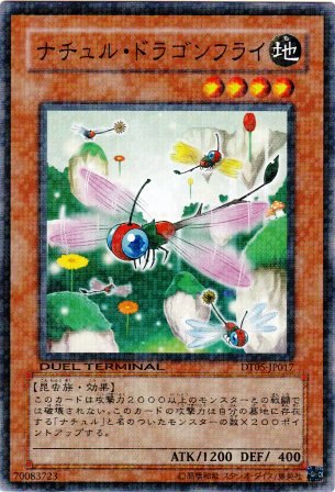 No.2217 ナチュル・ドラゴンフライ