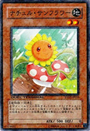 No.2218 ナチュル・サンフラワー