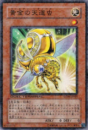 No.2253 黄金の天道虫