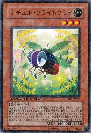 No.2271 ナチュル・フライトフライ