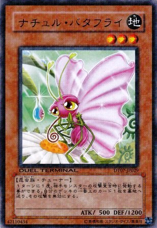 No.2329 ナチュル・バタフライ