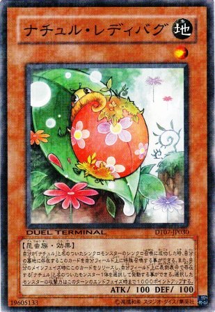 No.2330 ナチュル・レディバグ