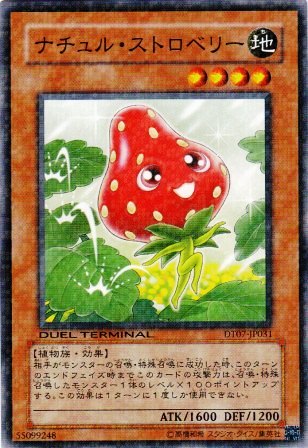 No.2331 ナチュル・ストロベリー