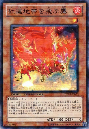 No.4423 紅蓮地帯を飛ぶ鷹
