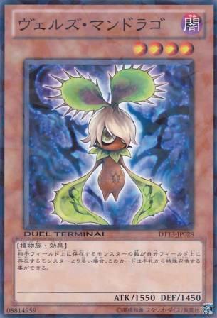 No.4628 【 ヴェルズ・マンドラゴ 】